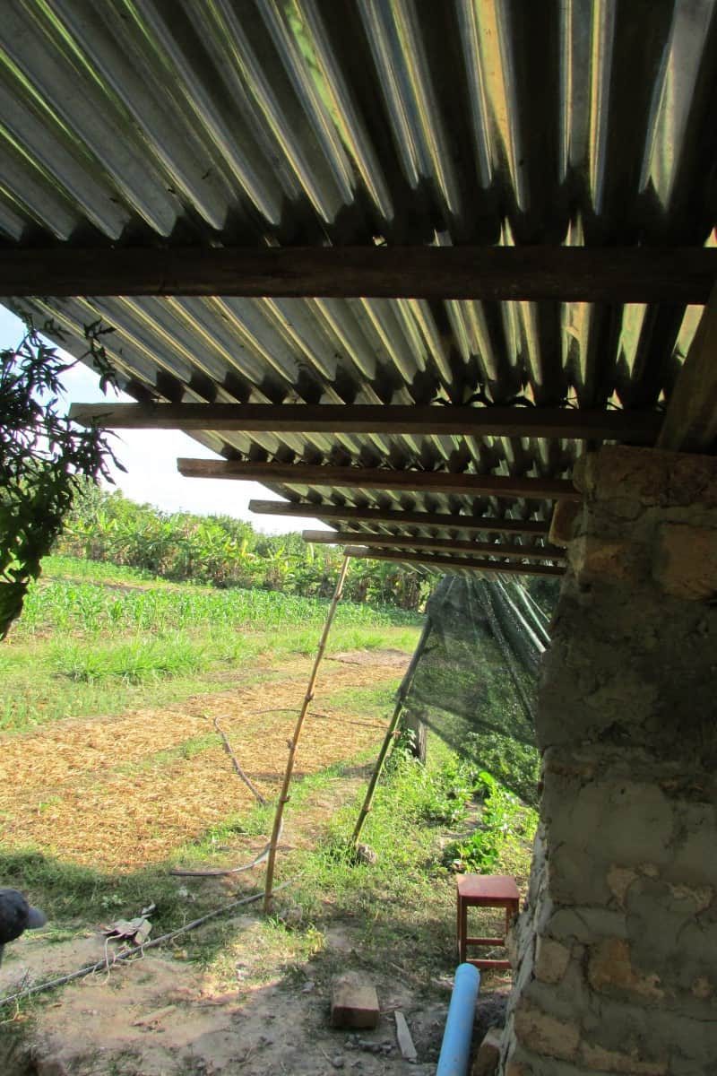 Are Adobe Houses Fireproof 4xTraditional Walls + Roof Types